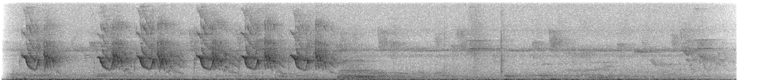 Sulphur-bellied Flycatcher - ML329339