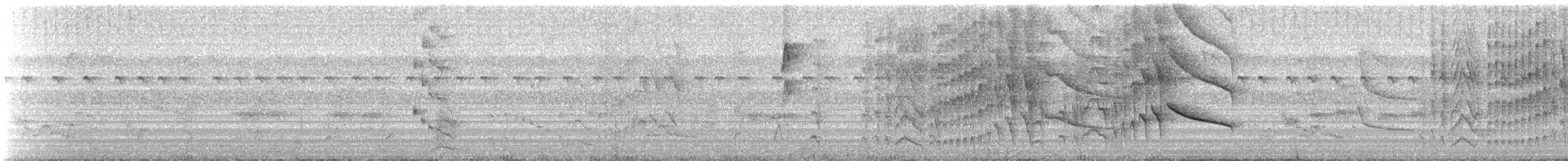 Rose-throated Becard - ML329341