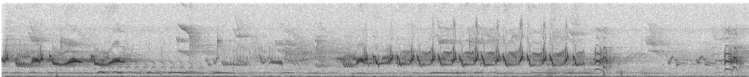 Tropical Mockingbird - ML329349