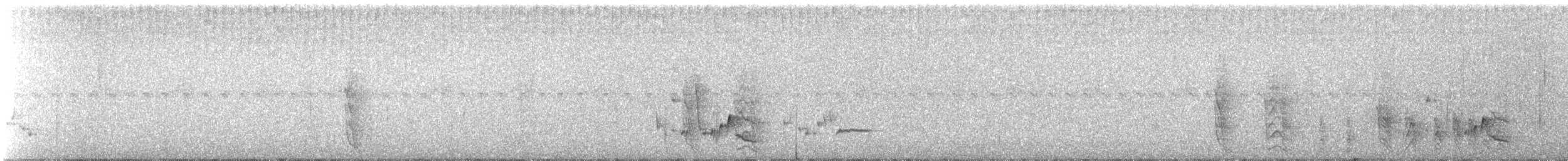 White-bellied Wren - ML329356