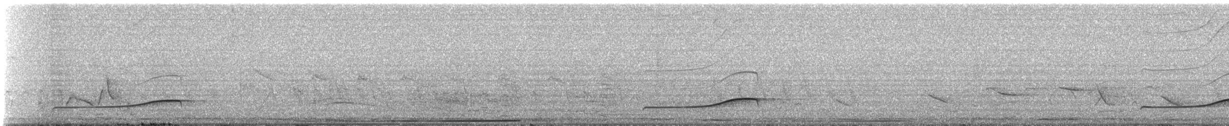 Yucatan Flycatcher - ML329357