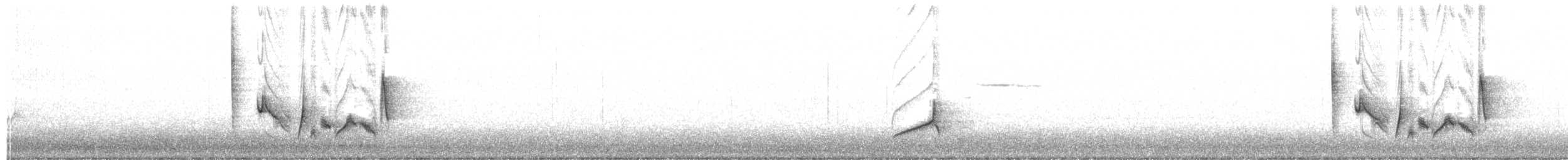 White-eyed Vireo - ML329376341