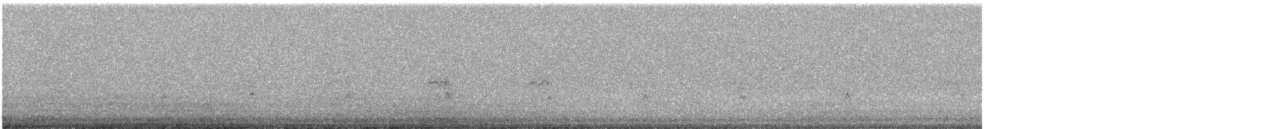 Wilson's Snipe - ML329388051