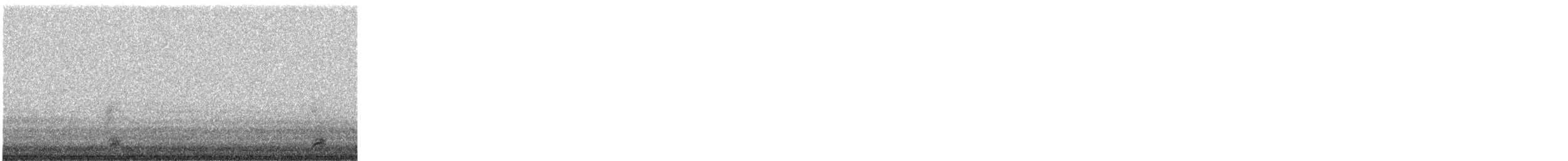 Black-crowned Night Heron - ML329388081