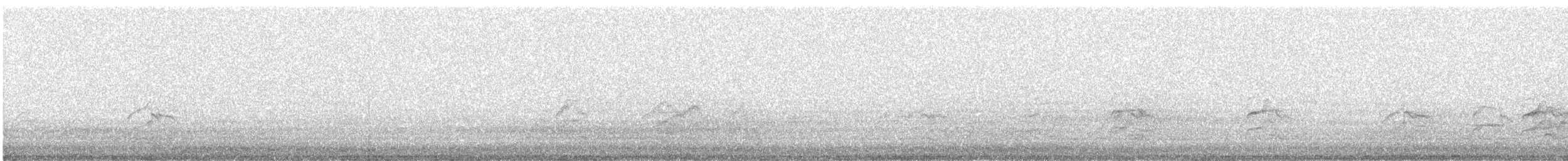 Franklin's Gull - ML329388091