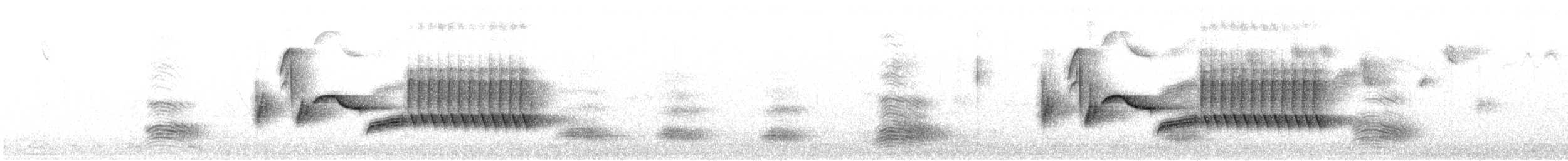 Troglodyte de Bewick - ML329490961