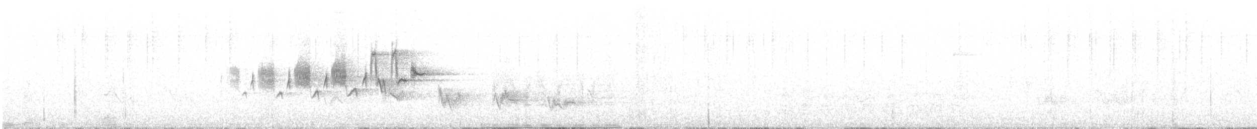 Black-throated Gray Warbler - ML329494731