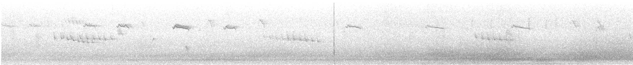 Paseriforme sp. - ML329516881