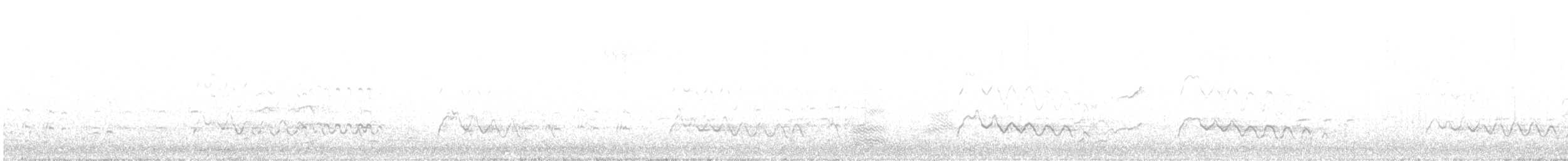 Austral-Schlangenhalsvogel - ML329517251