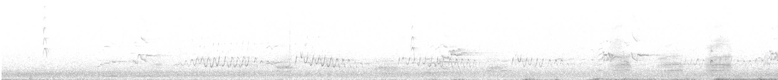 Austral-Schlangenhalsvogel - ML329517271
