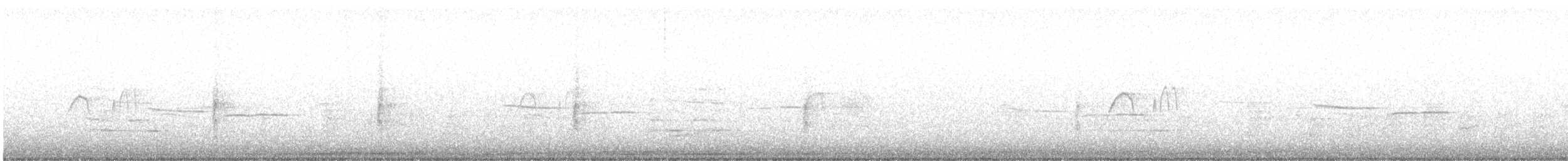 Светлобрюхий фиби - ML329520221