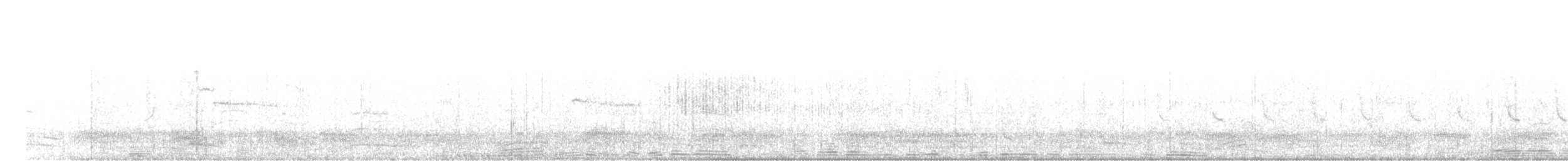 Indian Gray Hornbill - ML329586091