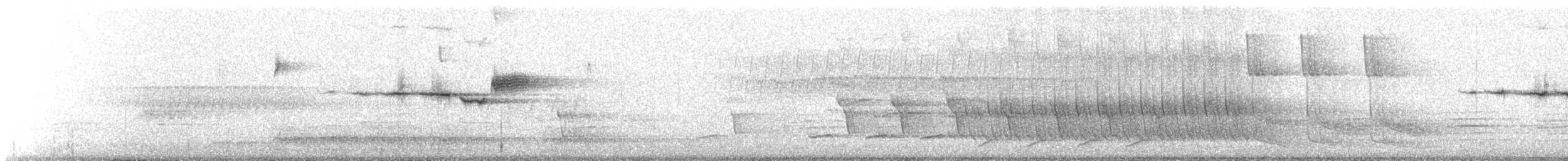 Black-throated Green Warbler - ML329598541