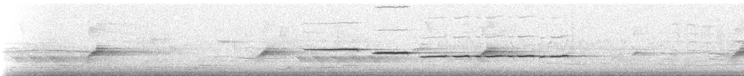 White-throated Sparrow - ML329598561