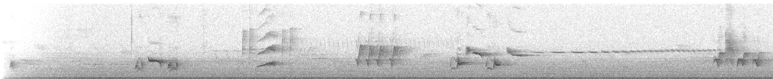 Brown Thrasher - ML329598581