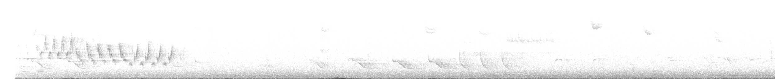 Northern House Wren (Northern) - ML329682401