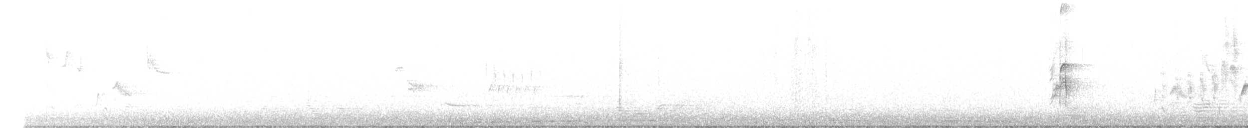 Northern House Wren (Northern) - ML329683741