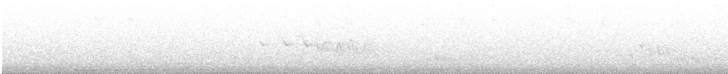 Трясогузковый певун - ML329697611