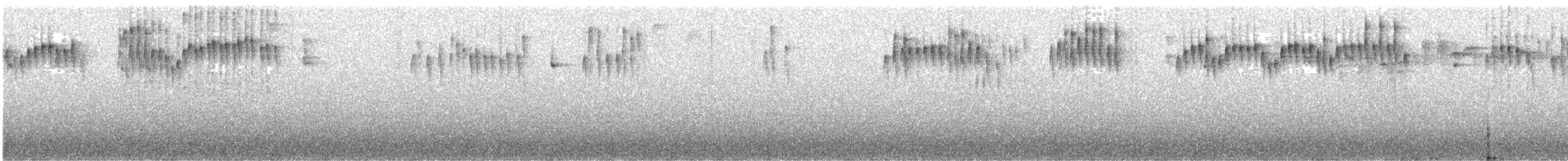 perlestammeløper - ML329727391