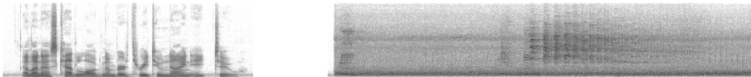 Yellow-billed Malkoha - ML32982