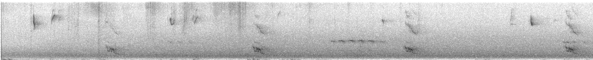 Tinamou à tête rousse - ML329820891