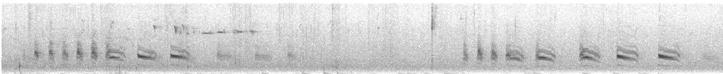 Grass Wren - ML329824571