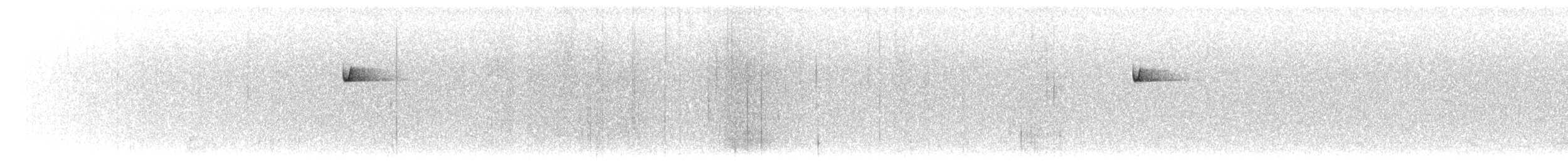 Batı Amerika Sinekkapanı (occidentalis/hellmayri) - ML329868121