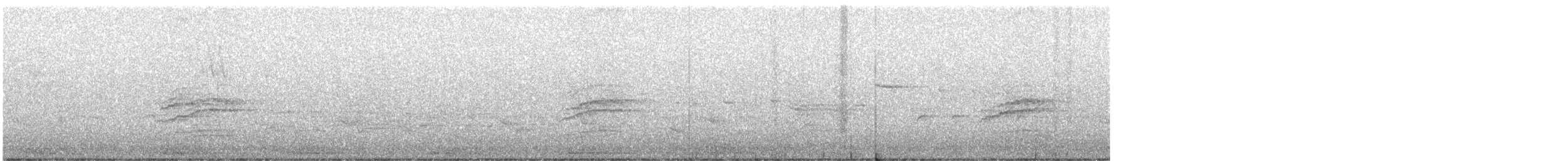 Hermit Thrush - ML329902571