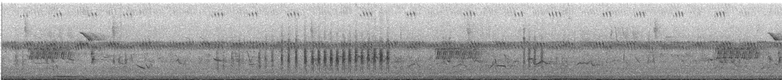 Spotted x Eastern Towhee (hybrid) - ML329925