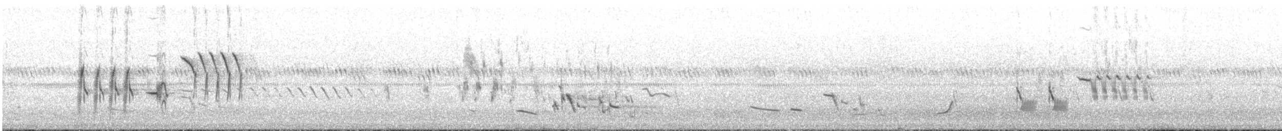 Spotted Towhee - ML329926