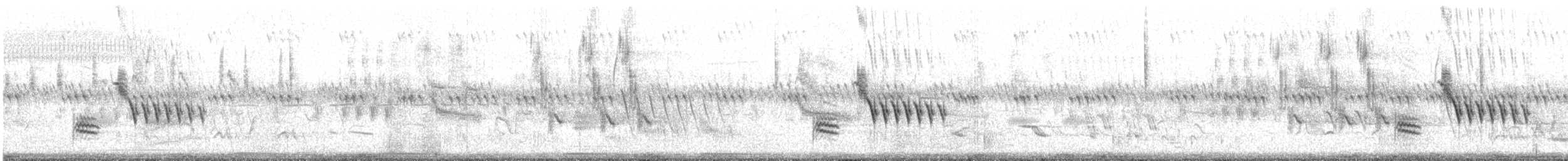 Spotted Towhee - ML329927