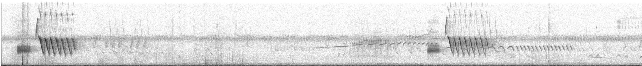 Spotted Towhee - ML329928