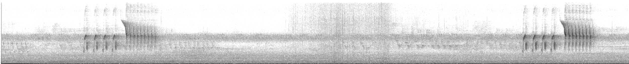 Spotted Towhee - ML329929