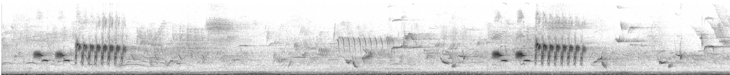 Spotted x Eastern Towhee (hybrid) - ML329931