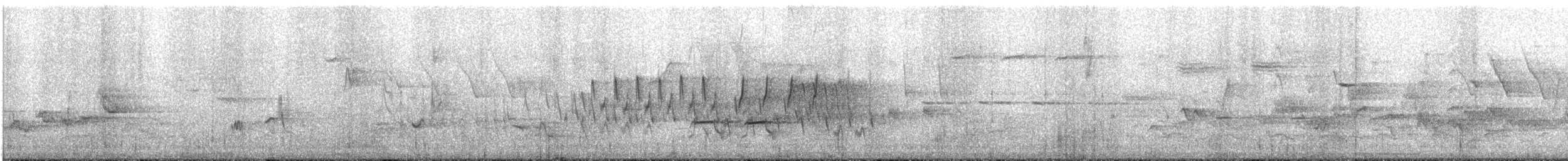 Spotted Towhee - ML329932