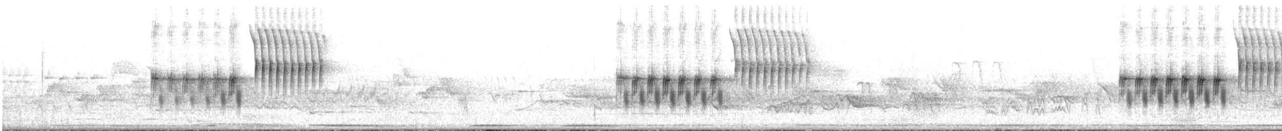 Spotted Towhee - ML329936