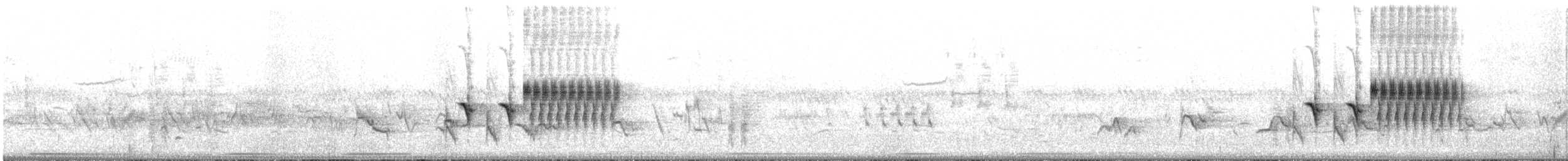 Spotted Towhee - ML329937