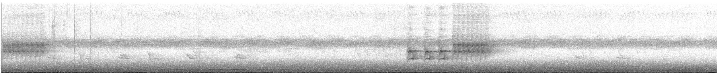 Spotted Towhee - ML329942