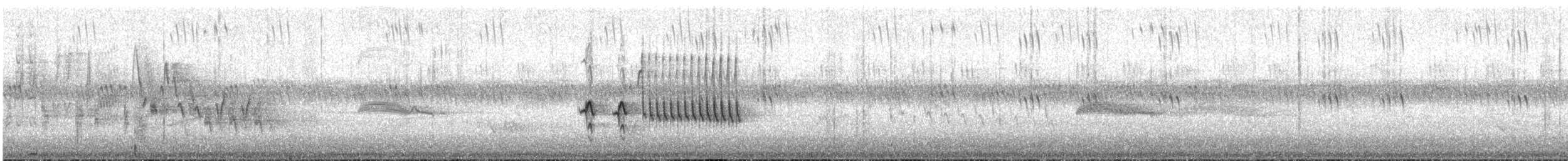 Spotted Towhee - ML329943