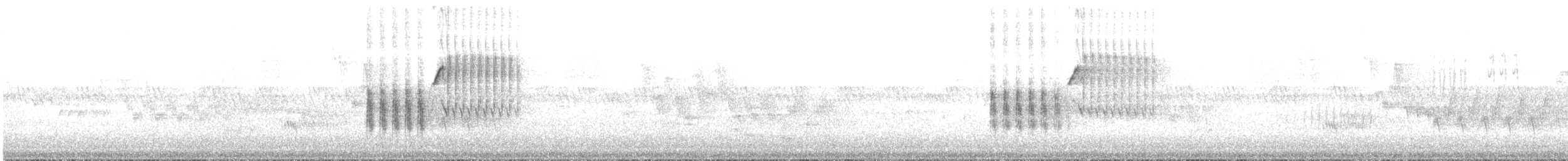 Spotted Towhee - ML329944