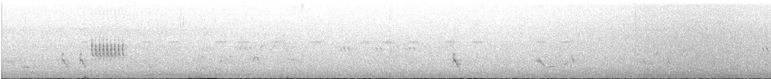 Spotted Towhee - ML329945