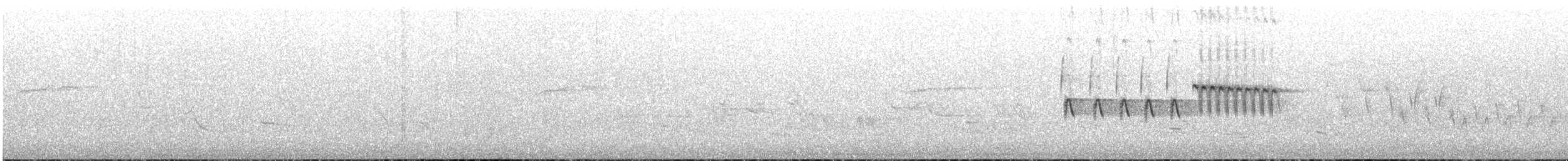 Spotted x Eastern Towhee (hybrid) - ML329947