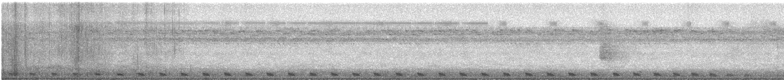 Large-tailed Nightjar - ML330001561