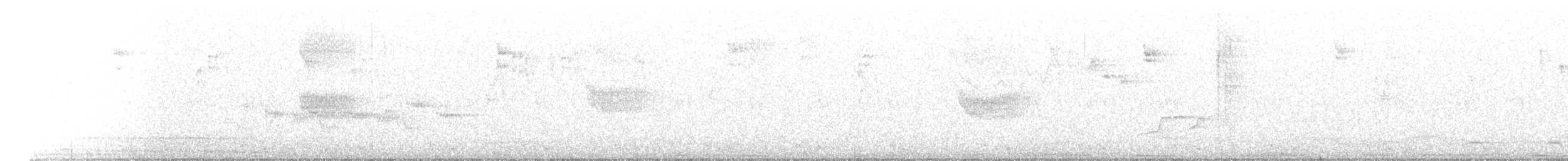 Пятнистая вилохвостка - ML330011241