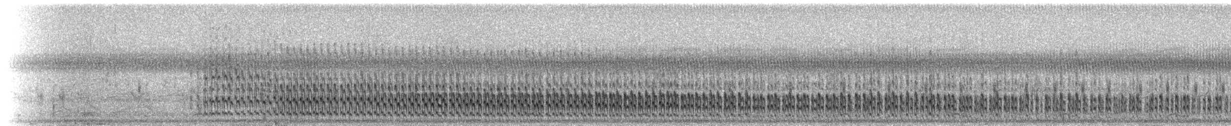 灰胸秧雞 - ML330011321