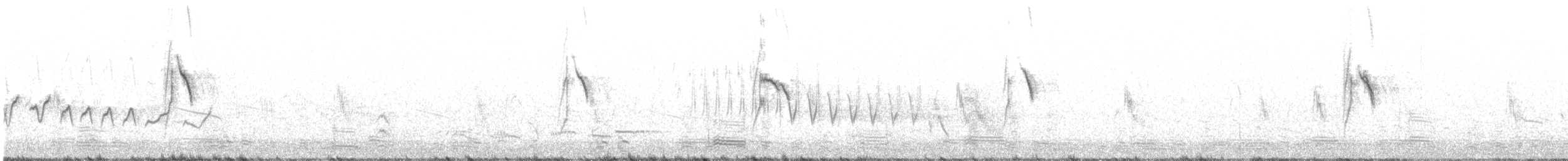 konipas luční (ssp. flavissima) - ML330028081