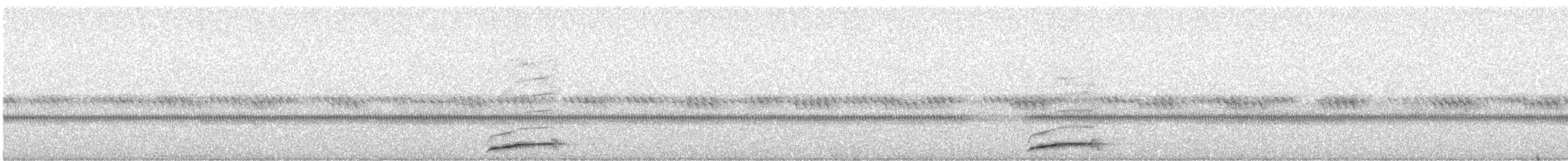 Хотны бүгээхэй - ML330030671