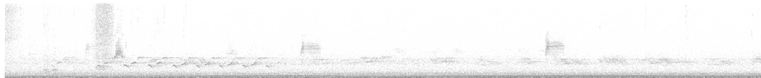 American Woodcock - ML330031431