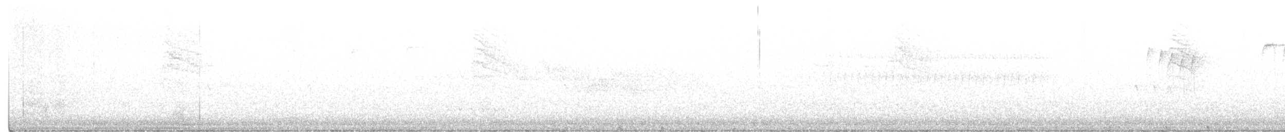 nordmyggsmett (caerulea) - ML330083101