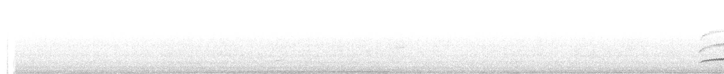 Büyük Atmaca Guguğu - ML330101181